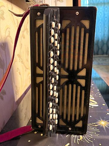 uşaq bayan: Akustik Akkordeon, İşlənmiş, Pulsuz çatdırılma — 8