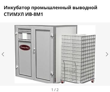 Инкубатор промышленный выводной СТИМУЛ ИВ‑8М1 Профессиональная — 1