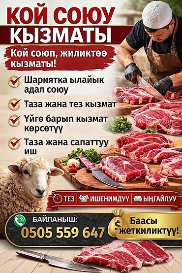 лагерь илим на иссык куле: Касапчы, выездные банкеты — 1
