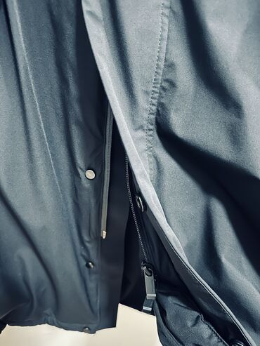 Kurtkalar: Kurtka, Bolonka, Qış, Massimo Dutti, L — 10