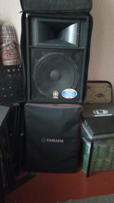 Səs gücləndiriciləri: Tək Və Cüt Komplektlerin — 24