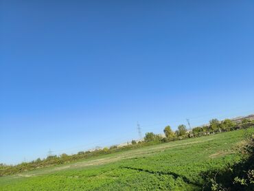 Torpaq sahələrinin satışı: 100 sot, Kənd təsərrüfatı, Kupça (Çıxarış) -da lalafo.az — 3 Torpaq sahələrinin satışı: 100 sot, Kənd təsərrüfatı, Kupça (Çıxarış) — 3