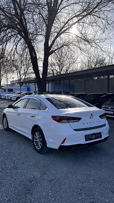 Hyundai: Hyundai Sonata: 2019 г., 2 л, Автомат, Газ, Седан — 11