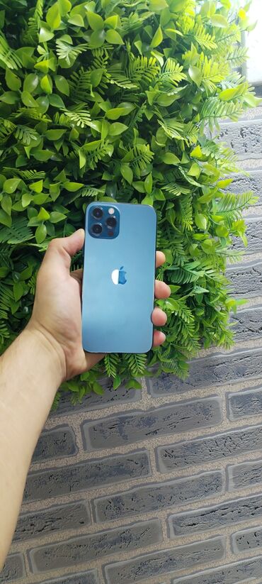 Apple iPhone: IPhone 12 Pro, 128 GB, Space Gray, Face ID