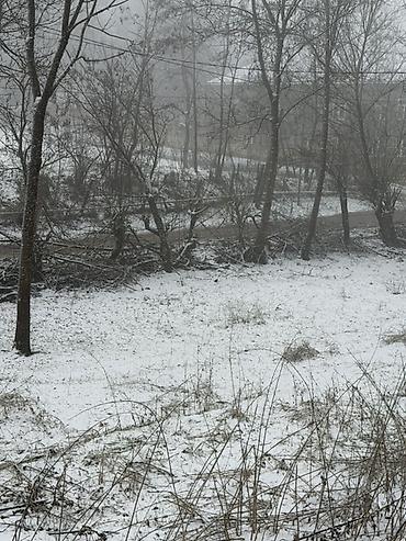 Torpaq sahələrinin satışı: 20 sot, Tikinti, Barter mümkündür, Kupça (Çıxarış) — 5