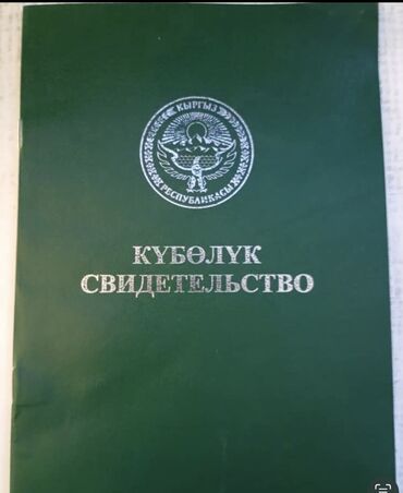 кара балта жер сатылат: 300 соток, Айыл чарба үчүн