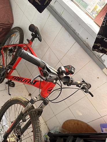 velosiped idman: Favorit Bullet dağ velosipedi - Rəng: parlaq qırmızı, qara loqotip və — 1