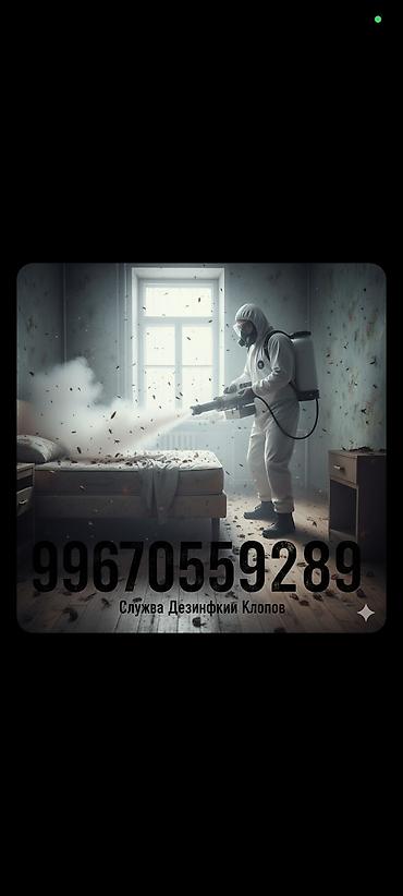Дезинфекция, дезинсекция: Дезинфекция, дезинсекция, | Муравьи, Мыши и крысы, Клопы, | Офисы, Дома, Подъезды — 3