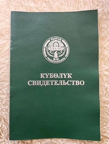 Жер тилкелери: 100 соток, Айыл чарба үчүн, Сатып алуу-сатуу келишими — 2