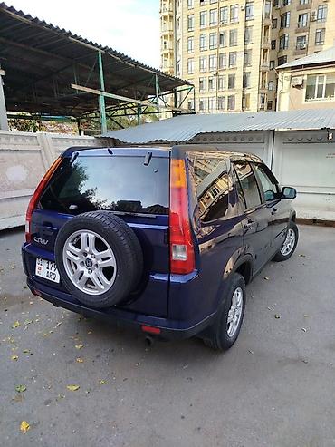 фольксваген пассат б5 1 9 дизель: Honda CR-V: 2002 г., 2.4 л, Автомат, Газ, Универсал — 4