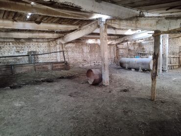 Продажа участков: 15 соток, Красная книга, Договор купли-продажи, Тех паспорт at lalafo.kg — 18 Продажа участков: 15 соток, Красная книга, Договор купли-продажи, Тех паспорт — 18