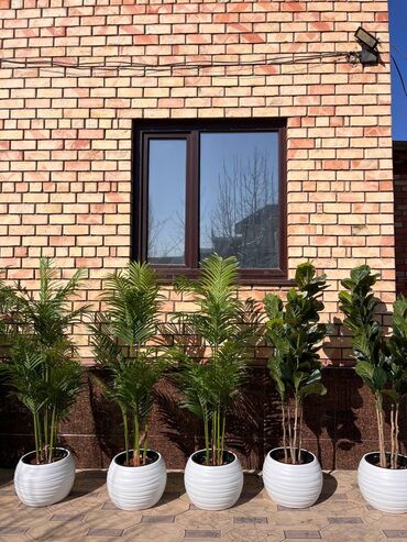 Декоративные цветы: Искусственные деревья и цветы — долговечный и стильный декор без at lalafo.kg — 15 Декоративные цветы: Искусственные деревья и цветы — долговечный и стильный декор без — 15