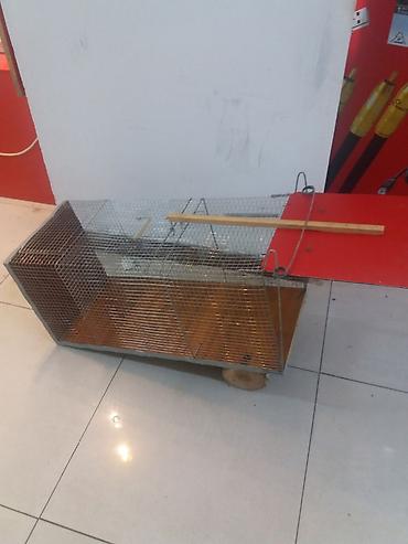 oxatan kirpi: Məhsul: Canlı tələ qəfəsi Təsvir: - Metall torlu konstruksiya, möhkəm — 1