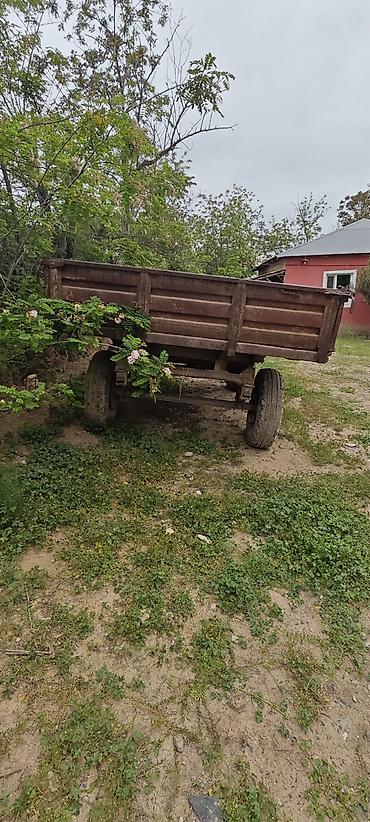 фольксваген пассат 1: Traktor lapet 3 korpus kotan mala komplekt satılır qiymətdə razılaşmaq — 5