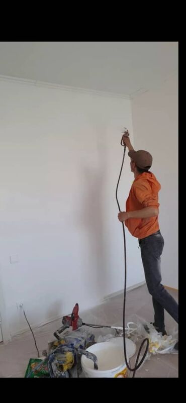 Покраска: Покраска стен, Больше 6 лет опыта — 4