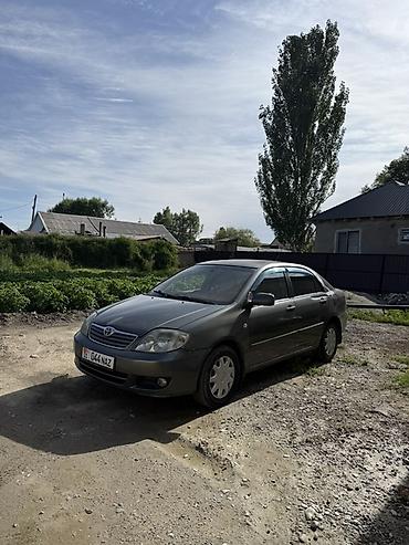 Toyota: Toyota Corolla: 2004 г., 1.6 л, Автомат, Бензин, Седан — 7