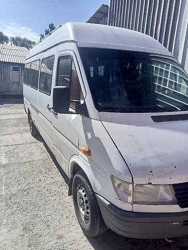 transporter multivan: Легкий грузовик, Mercedes-Benz, Стандарт, 3 т, Б/у — 1