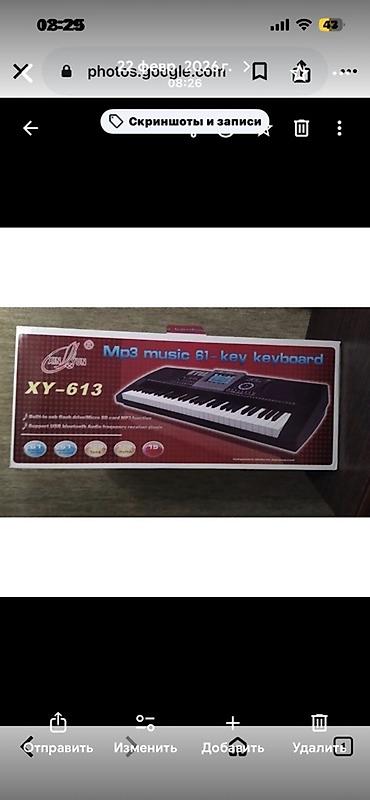 org pa 80: XY-613 elektron sintezator – 61 düyməli musiqi klaviaturası. Model — 1