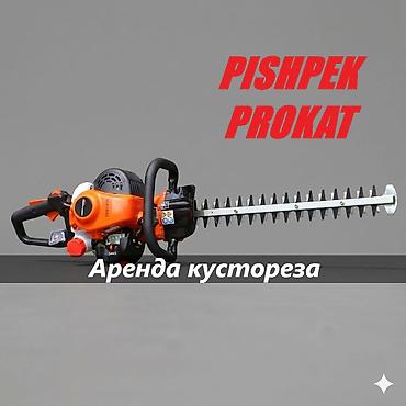КУСТОРЕЗ АРЕНДА аренда кустореза кусторез в аренду прокат кустореза