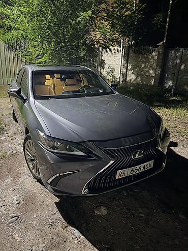 rx 330: Lexus ES: 2019 г., 2.5 л, Вариатор, Гибрид, Седан — 6