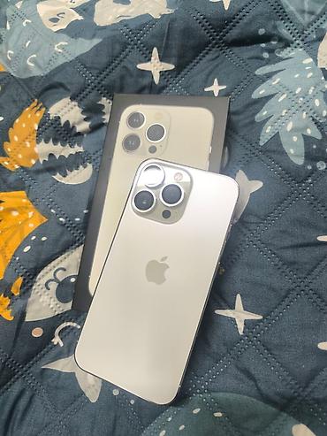 Apple iPhone: IPhone 15 Pro Max, Natural Titanium, Коробка — 1