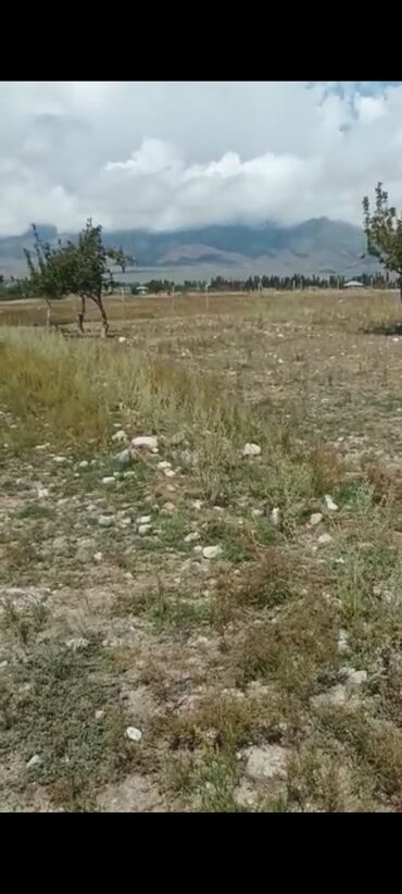 Продажа участков: 8 соток, Для бизнеса, Красная книга, Договор купли-продажи — 8