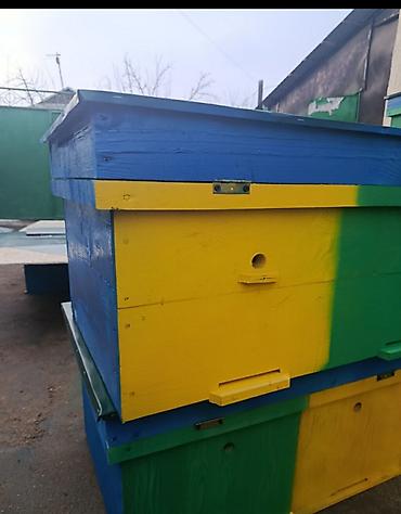 Ящики: Ящик — 3