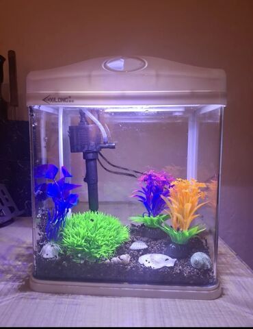 все для аквариума бишкек: Аквариум комплект Xilong. Новый. Настольный прямоугольный аквариум с