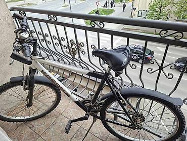 bicikle cene: Planinski bicikl 26" - Čelični ram sa kosom gornjom cevi, kombinacija — 1