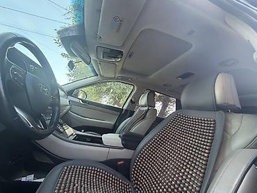 elm327 bluetooth: Hyundai Palisade: 2018 г., Дизель, Кроссовер — 5