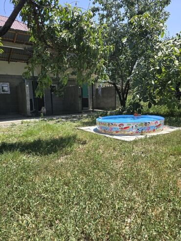 Другие услуги: Зоостиница Гостиница для собак Платная передержка Вам срочно — 9