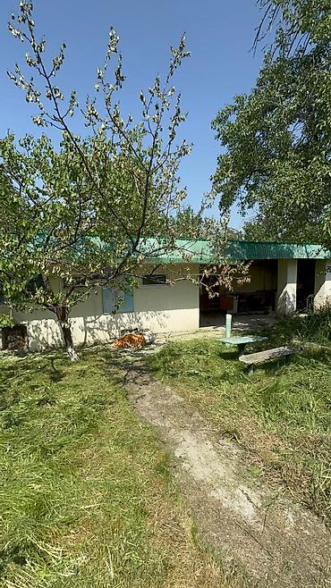 Продажа дач: Продается дача в верхней части города Кашка Суу горнолыжная база не — 12