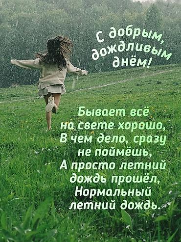 ежемалину: Саженцы Ежемалина неколючая. Ежевика колючая — 3