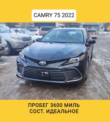 camry 75 цена бишкек: Toyota Camry: 2022 г., 2.5 л, Автомат, Бензин, Седан