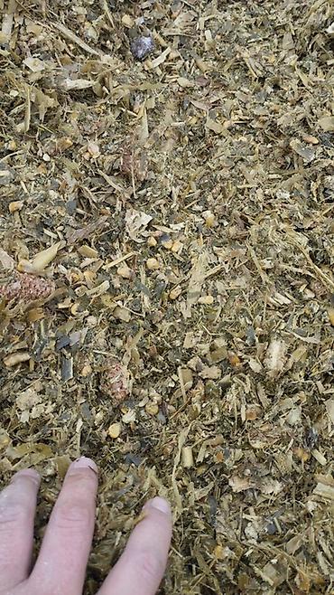 Корма для с/х животных: Силос — 9 сомдон рулон. Сенаж — 12 сомдон рулон. Беде биринчи кос таза — 4