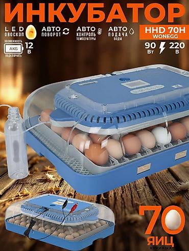 инкубационный: Инкубатор на 70 яиц #Инкубатор #Инкубатор #ИнкубаторДляЯиц — 2