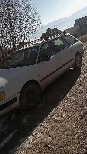 Audi: Audi 100: 1993 г., 2.3 л, Механика, Бензин, Универсал