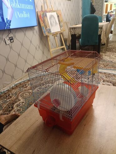 большая клетка для грызунов: Xırda gəmiricilər üçün qəfəs - Material: üst hissə möhkəm metal