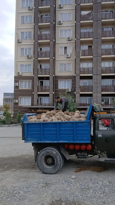 Отсев: Другое назначение