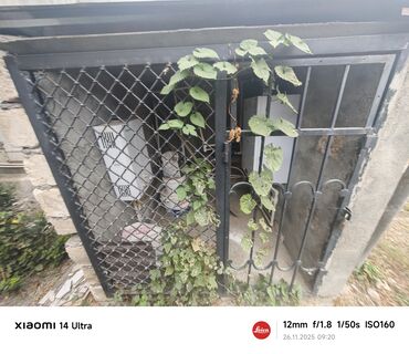 Həyət evləri və villaların satışı: 3 otaqlı, 80 kv. m, Kredit yoxdur, Yeni təmirli -da lalafo.az — 22 Həyət evləri və villaların satışı: 3 otaqlı, 80 kv. m, Kredit yoxdur, Yeni təmirli — 22