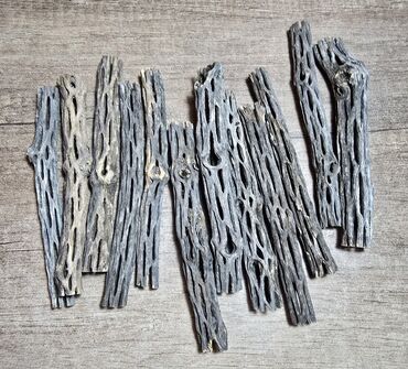 Çaydanlar: Cholla wood. Təbii qurudulmuş kaktus. Akvariumda təbii antibiotik rolu