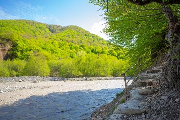 Bağ evlərinin kirayəsi: 130 kv. m, 4 otaqlı, Kombi — 18
