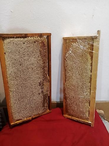 Продукты питания: Təbii arı məhsulu – şan balı və süzülmüş bal - Şəkillərdə arıçılıq — 4