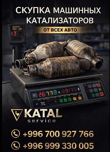 avto: Скупка автомобильных катализаторов от всех марок и моделей. Что — 4