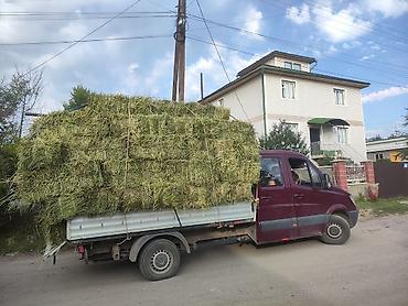 Грузовики: Грузовик, Mercedes-Benz, Дубль, 4 т, Б/у — 5