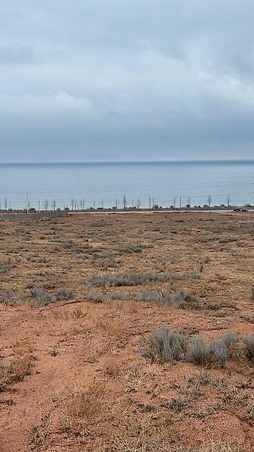 Продажа участков: 100000 соток — 13