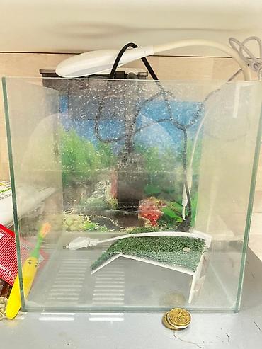 akvarium balaca: Akvaryum dəsti – şüşə kub akvaryum və aksesuarlar Xüsusiyyətlər: - — 2