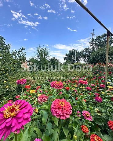 калодес ош: 🏠Продается дом в г. Шопоков 🟡Комнаты: 5 🟡 Участок: 8 соток 🟡Отопление — 5