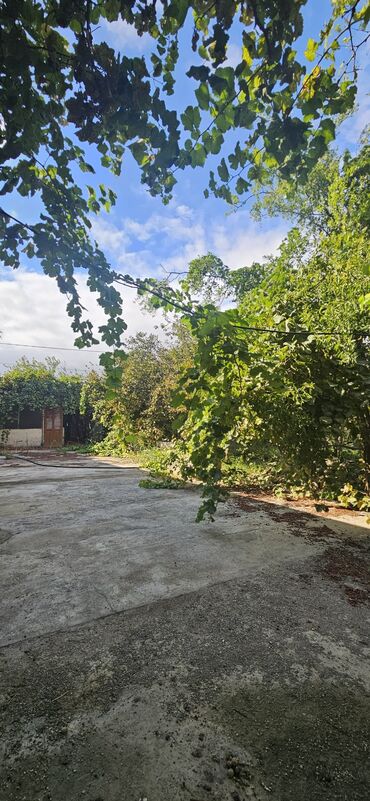 Torpaq sahələrinin satışı: 48 sot, Kənd təsərrüfatı, Kupça (Çıxarış) — 10