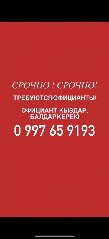 нижнее ала арча: Мы в поиске официантов для нашей команды. Приглашаем девушек и парней